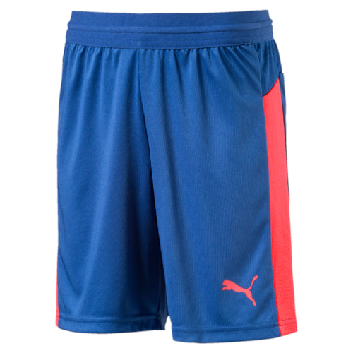 Puma youths junior knit shorts Blue/pink unisex